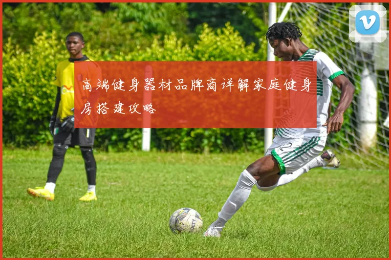 高端健身器材品牌商详解家庭健身房搭建攻略
