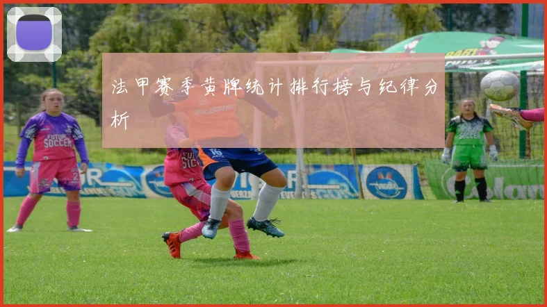 法甲赛季黄牌统计排行榜与纪律分析