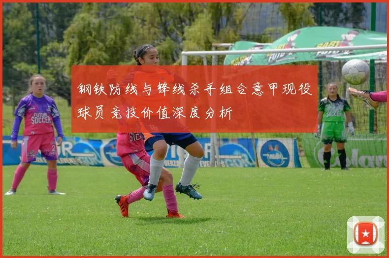 钢铁防线与锋线杀手组合意甲现役球员竞技价值深度分析